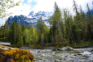 Snowy Mountains in the forest