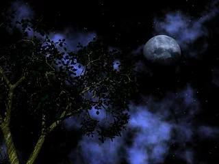 Fotobehang Volle maan en bomen Fantastische wolken en maan