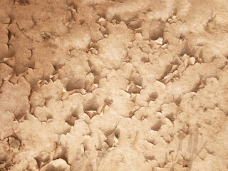 The ground has cracks in the top view for the background