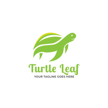 turtle leaf logo vector template.