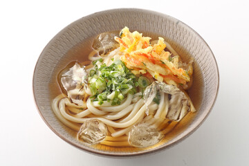 夏の冷やしぶっかけうどん