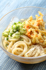 夏の冷やしぶっかけうどん