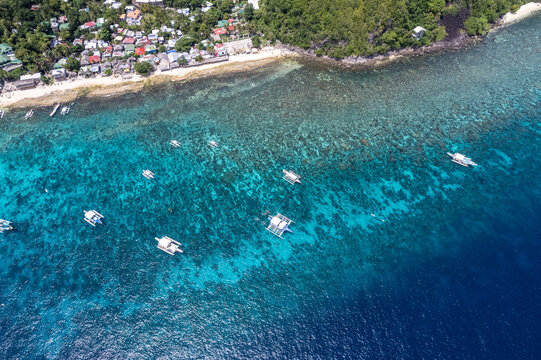 Apo Island 