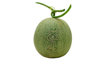 melon on a white