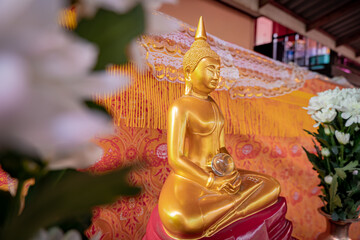 Gold Buddha statue with white flower and curtain. Concept of traditions of buddhism.