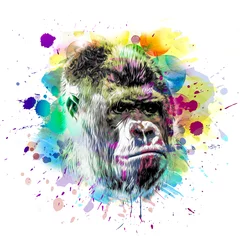 Foto auf Glas Colorful artistic monkey's head on background with colorful creative elements color art © reznik_val