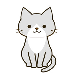 おすわりするシンプルなハチワレグレー猫