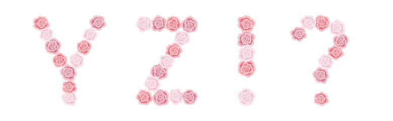 Floral alphabet from blooming rose buds for greeting card, wedding invitation, banner, logo, poster. Set of letters and signs Y, Z, !, ?