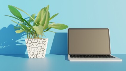 3d render front view laptop on a blue scene and vase with ornamental plant business concept wallpaper backgrounds