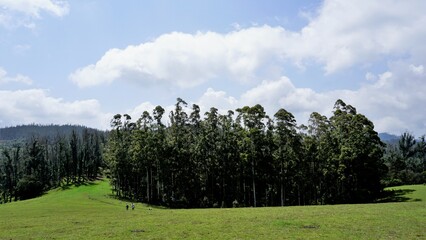 Beautiful and amazing landscapes of Wenlock Downs 9th Mile Shooting Point.