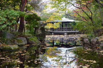 Fototapeta na wymiar 水辺の森公園、池のある木々や葉のある美しい秋の風景