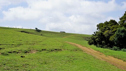 Beautiful and amazing landscapes of Wenlock Downs 9th Mile Shooting Point.