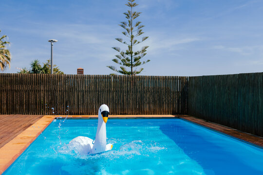 Splashing water with inflatable swan in a private pool in a house backyard