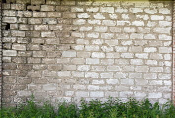 Texture surface of an old brick wall of an agricultural building. Green grass grows at the base.