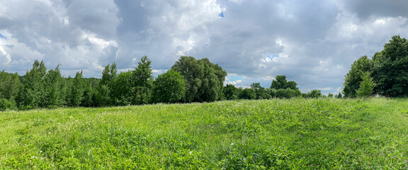 Fototapeta premium panoramic summer landscape of meadow with green trees in the cloudy day