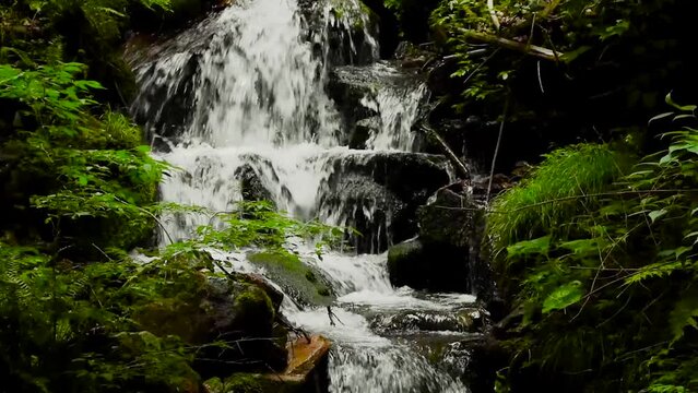 Waterfall in the dark forest 3