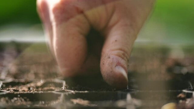 Contaminated fmd soil in Australia 