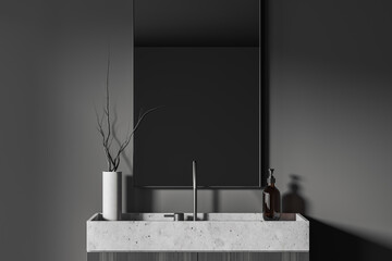Grey bathroom interior with sink and mirror, accessories on deck