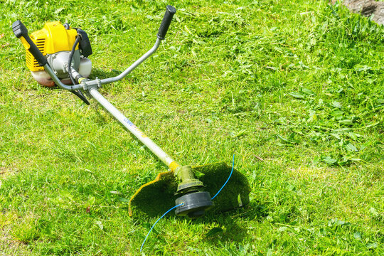 Gasoline trimmer for mowing grass
