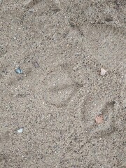 footprint in sand