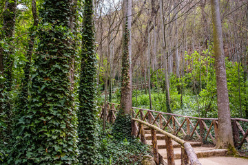Obraz premium Monasterio de Piedra, Zaragoza. España