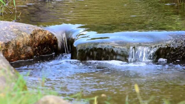 尽きることなく流れる小川の清流