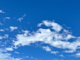 Fototapeta premium 空