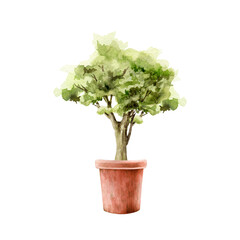Tiny tree in a flower pot. Watercolor illustration. Hand drawn bonsai in terracotta pot. Small green tree with lush foliage growing in ceramic container. White background