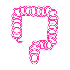 intestine icon vector. intestine body organ icon vector symbol illustration. Modern simple vector icon for your design. gut icon vector
