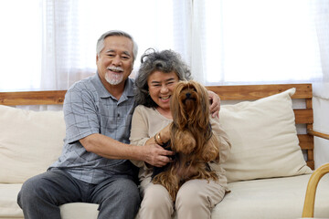 Happiness senior couple and dog friend at home.