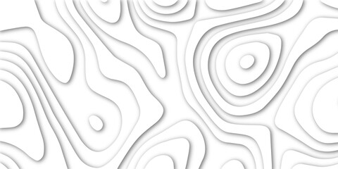 Abstract white papercut background with waves. Abstract papercut and multi layer cutout geometric pattern on vector, Abstract soft white background with waves, textured Papercut