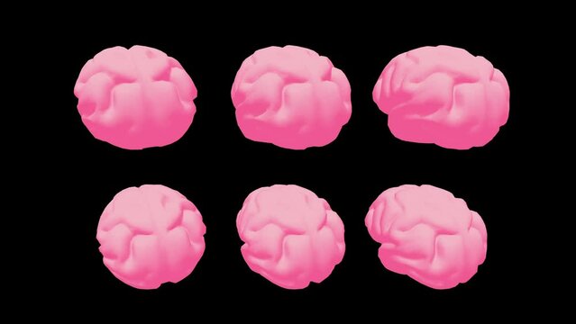 Human brain Anatomical Model. Motion Animation. Video available in 4K FullHD and HD render footage