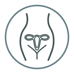 Female reproductive system. Vector illustration
