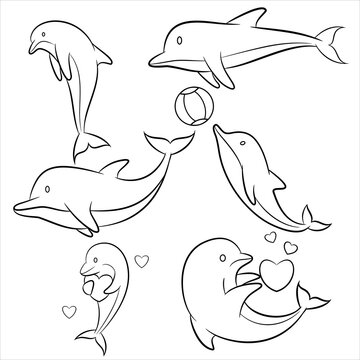 dolphin from the sea Black line art vector Hand drawn illustration isolated on white