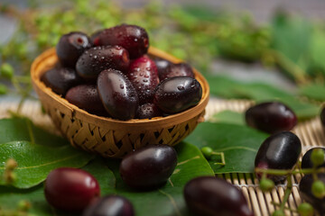 Close-Up of collection of Indian Ayurvedic medicinal fresh organic fruit jamun (Syzygium Cumini) 