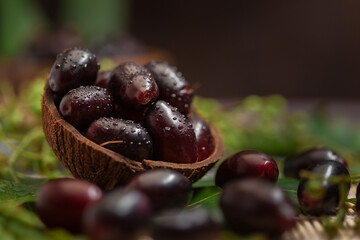 Close-Up of collection of Indian Ayurvedic medicinal fresh organic fruit jamun (Syzygium Cumini) 