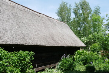 Fototapeta premium Reetdach im Museumsdorf im Spreewald