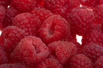 red raspberries close-up macro