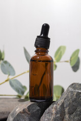 Cosmetic bottle serum, oil on stone stand with branch eucalyptus on grey background. Natural cosmetics concept, skin care product. Beauty concept for face body care