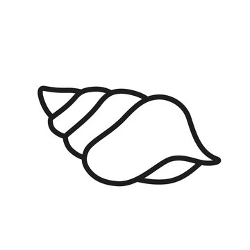 conch shell line icon. summer, sea and ocean symbol. isolated vector image