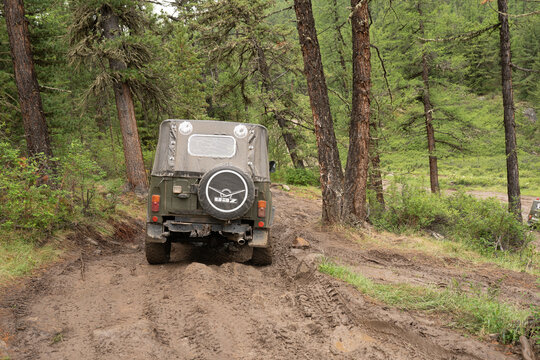 Altay, Russia - circa june 2022: UAZ on the forest road 