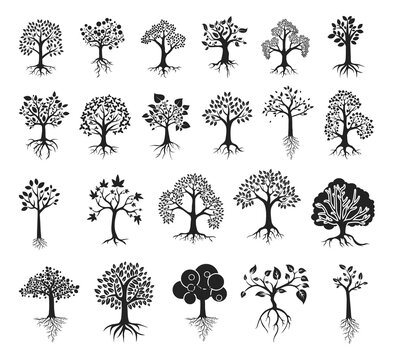 Tree With Roots Silhouettes Premium Vectors