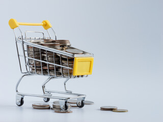 Cart to carry money for savings, investment in business or shopping. Money saving, investment and shopping ideas.