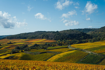 un paysage de vignoble automnal. Des vignes en automne. La Côte-d'Or en automne. La Bourgogne et ses vignes dorées pendant l'automne. Des collines couvertes de vignes en automne. Le temps des vendange