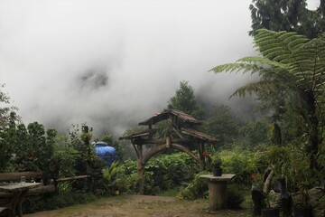 Plakat Cloud Landscape 