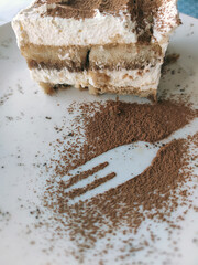 tiramisu cake sprinkled with chocolate chips on the plate