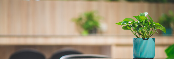 Coworking space, Was designed with a design, Biophilia.