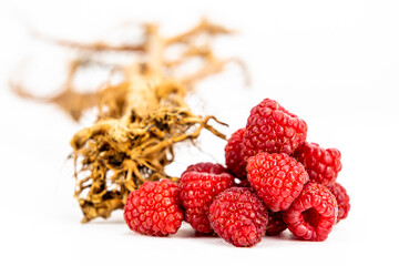 Fresh Raspberries isolated in white background, detailed texture, studio lighting, negative space