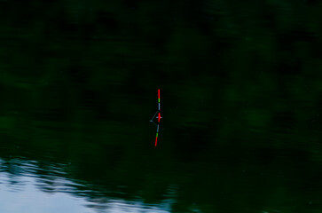 Fishing float in blue water. The float floats on the water surface of a lake, river.