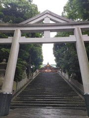 wooden bridge in the park